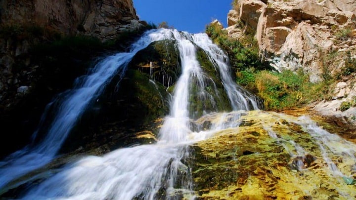 طبیعت آهار در پاییز: یک تابلو نقاشی زنده طبیعت آهار در پاییز: یک تابلو نقاشی زنده