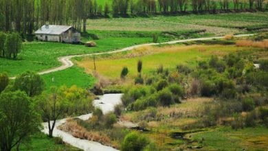 جاهای دیدنی فیروزکوه؛ 7 جاذبه برای آرامش و ماجراجویی