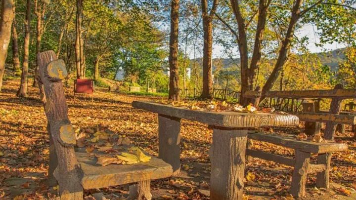 معرفی جاهای دیدنی شهر آمل معرفی جاهای دیدنی شهر آمل