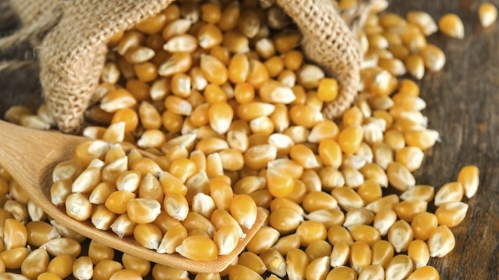 بهترین ذرت برای پاپ کورن خانگی