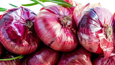 9 ترفند ساده و کاربردی برای جلوگیری از جوانه زدن پیاز