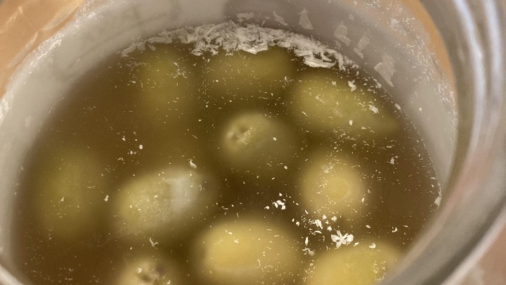 علت کپک زدن زیتون چیست؟