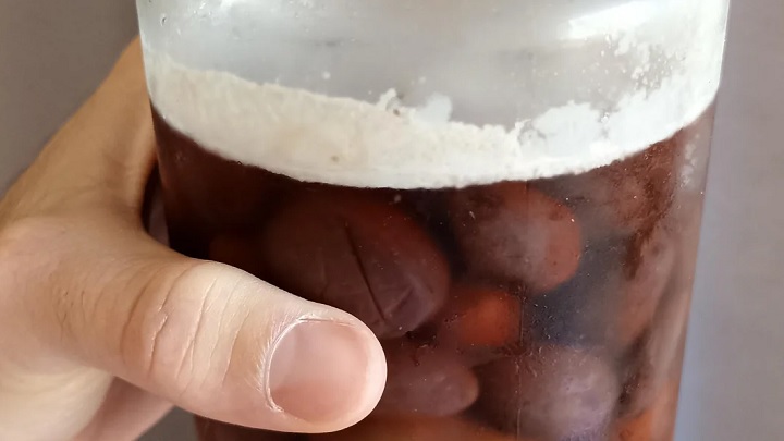 روش‌های جلوگیری از کپک زدن زیتون