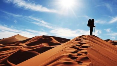 نزدیک‌ترین کویرها به تهران کدام‌اند؟ از تهران تا بی‌نهایت