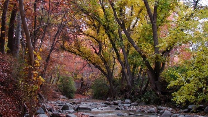 سفر به روستای برغان سفر به روستای برغان