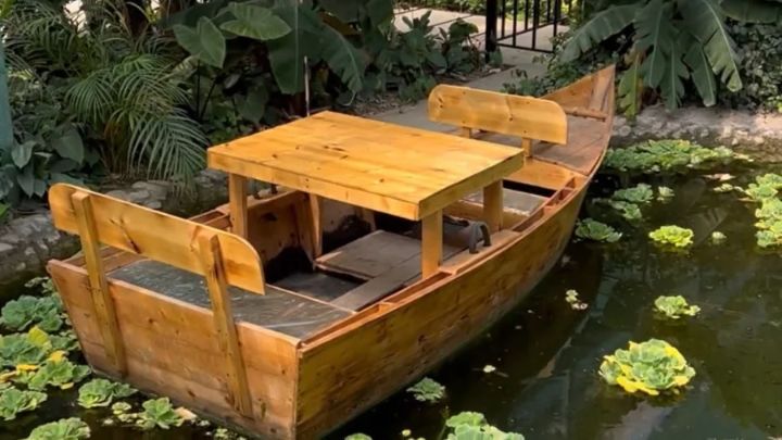 آدرس جنگل استوایی تهران کجا است؟ آدرس جنگل استوایی تهران کجا است؟