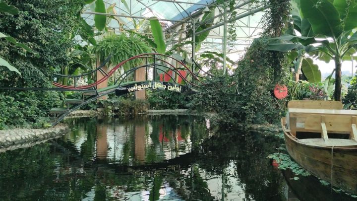 جذابیتهای جنگل استوایی ورامین جذابیتهای جنگل استوایی ورامین