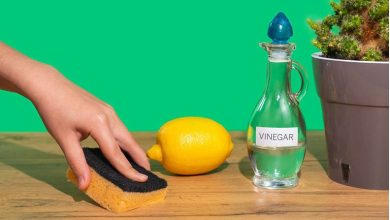31 کاربرد شگفت‌انگیز سرکه در نظافت منزل