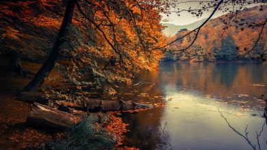 بهترین زمان سفر به شمال در پاییز چه زمانی است؟