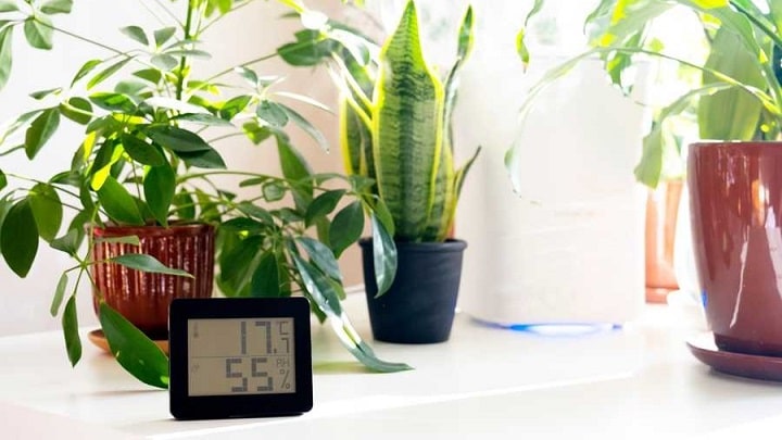 بهترین مکان برای نگهداری گل و گیاه در خانه بهترین مکان برای نگهداری گل و گیاه در خانه