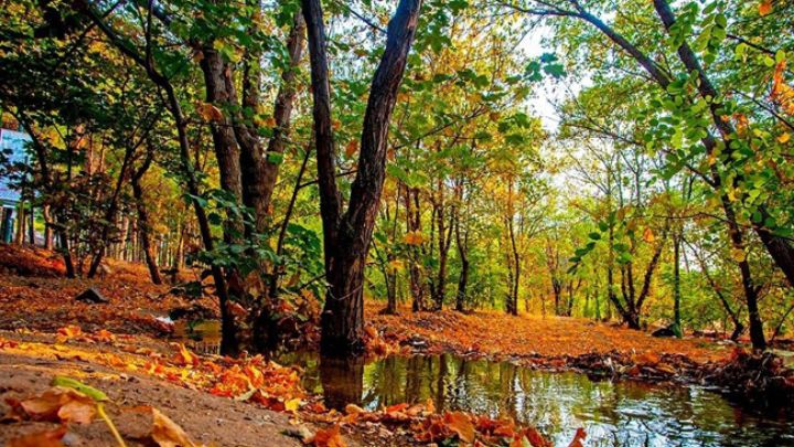 معرفی 7 مکان جذاب و زیبایی پاییزی در اطراف تهران