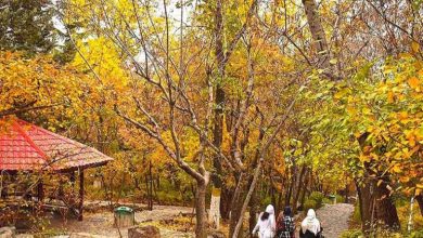 پاییز در اطراف تهران کجا بریم؟ معرفی 7 مقصد پاییزی