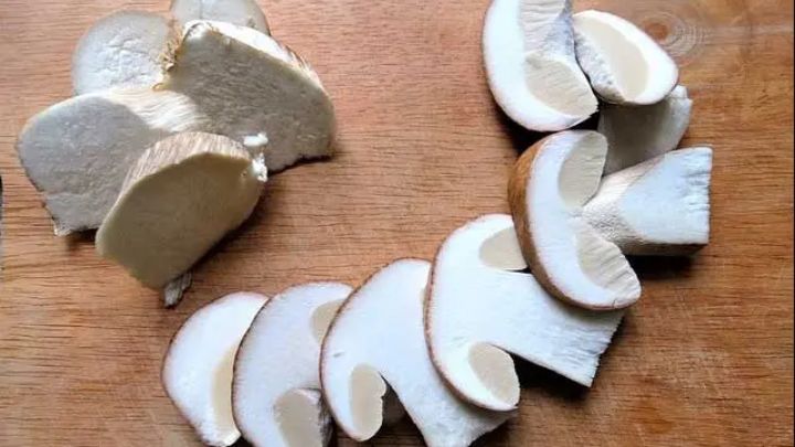 مراحل تهیه قارچ اسلایس شده برای مدت طولانی