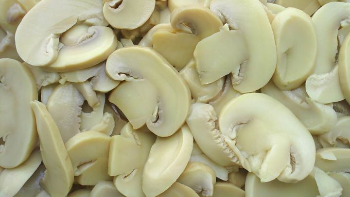 بهترین روش نگهداری قارچ بدون سیاه شدن