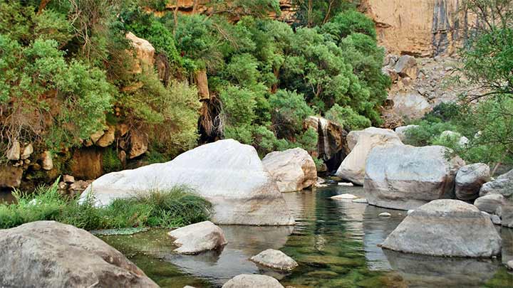 درباره طبیعت بهشت گمشده درباره طبیعت بهشت گمشده