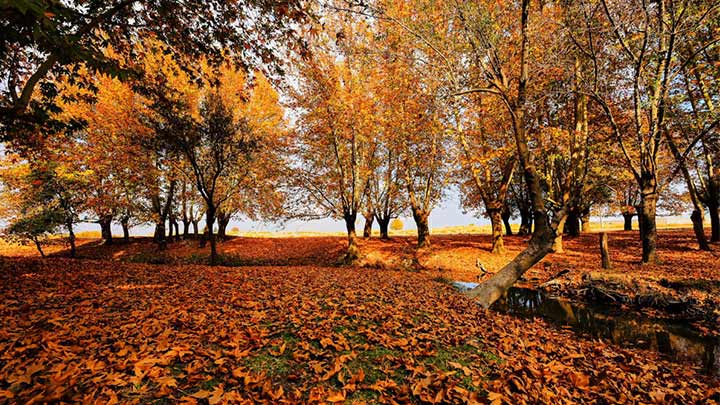 بهترین زمان سفر به بهشت گمشده بهترین زمان سفر به بهشت گمشده