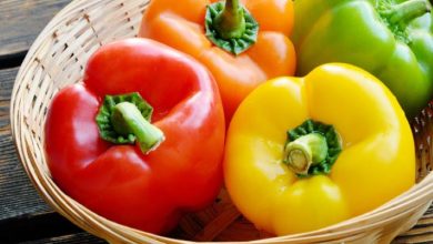 طرز تهیه ترشی فلفل دلمهای شکمپر؛ یک چاشنی مجلسی