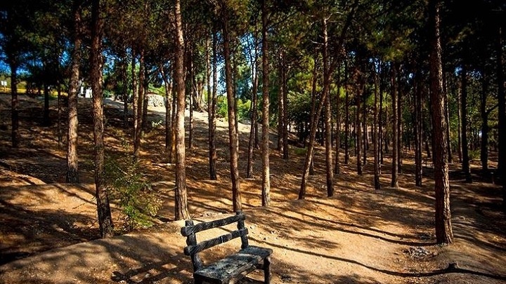 پارک جنگلی چیتگر از محبوبترین پارکهای تهران پارک جنگلی چیتگر از محبوبترین پارکهای تهران