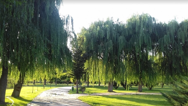 پارک آزادگان بزرگترین پارک ایران و از بهترین پارکهای جنوب تهران پارک آزادگان بزرگترین پارک ایران و از بهترین پارکهای جنوب تهران