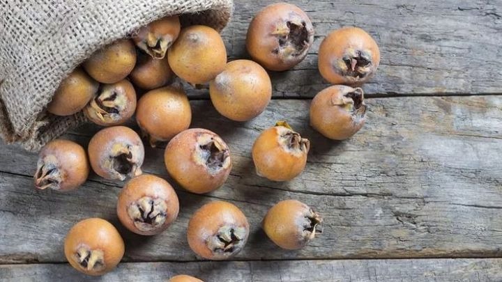 طرز تهیه دمنوش ازگیل به همراه بهترین زمان مصرف آن طرز تهیه دمنوش ازگیل به همراه بهترین زمان مصرف آن