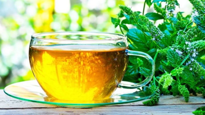 طرز تهیه دمنوش نعناع فلفلی طرز تهیه دمنوش نعناع فلفلی