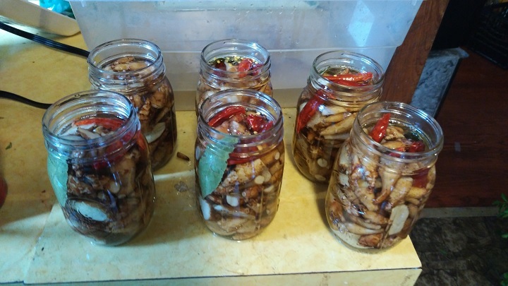 نکات و فوت و فن‌های تهیه شور سیب زمینی ترشی