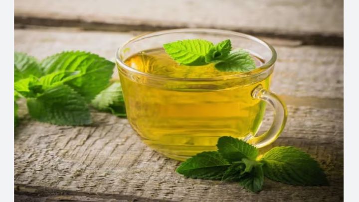 طرز تهیه دمنوش نعناع فلفلی طرز تهیه دمنوش نعناع فلفلی