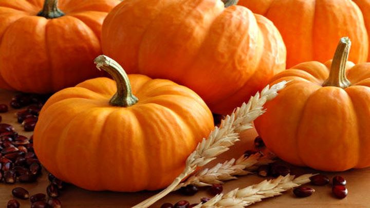 طرز تهیه شیره کدو حلوایی