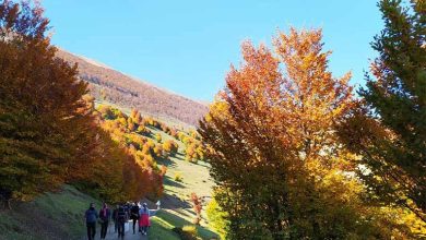 جاهای دیدنی تالش در پاییز؛ سفری به دل طبیعت