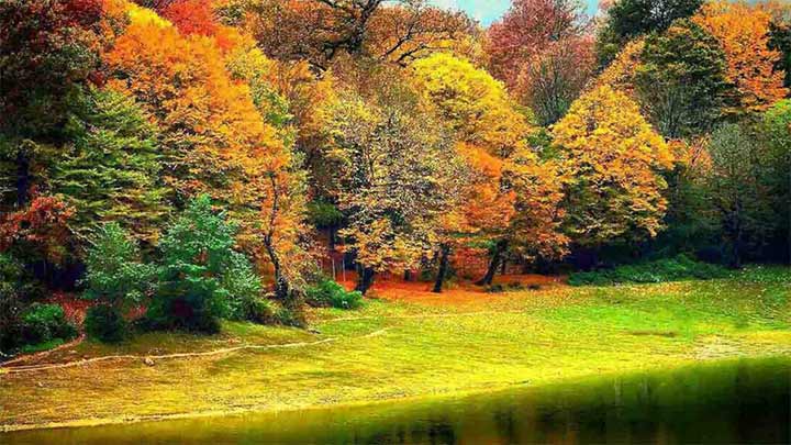 پارک جنگلی گیسوم تالش پارک جنگلی گیسوم تالش