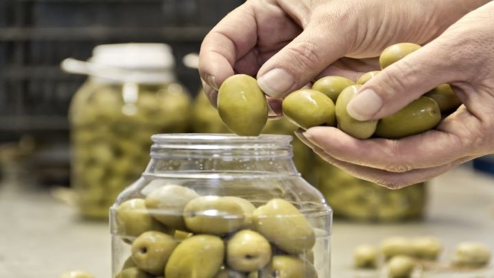 در خرید زیتون به چه نکاتی دقت کنیم؟ در خرید زیتون به چه نکاتی دقت کنیم؟