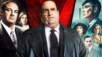 اگر «پنگوئن» را دوست داشتید، این 5 سریال را ببینید