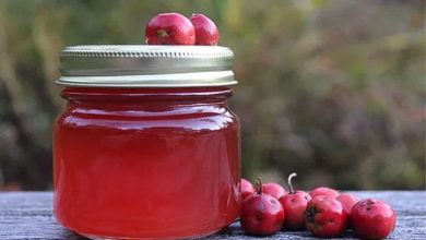 طرز تهیه مربای زالزالک؛ یک لذت شیرین و سالم