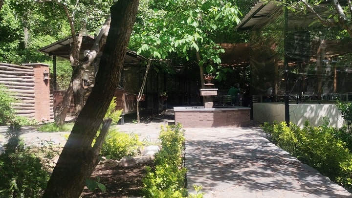 کافه آلپاین (طهرانی)