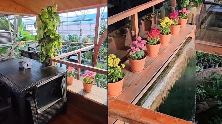 کافه بائولند کرج کافه بائولند کرج