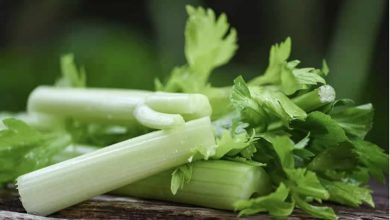 طرز تهیه عرق کرفس خانگی + زمان مصرف