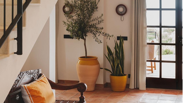 با این ترفندها، ورودی خانهتان را به زیباترین شکل ممکن طراحی کنید با این ترفندها، ورودی خانهتان را به زیباترین شکل ممکن طراحی کنید