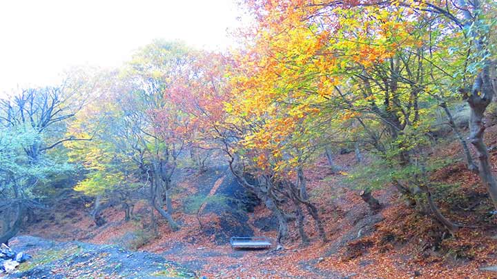 بهترین زمان بازدید از روستای دلیر بهترین زمان بازدید از روستای دلیر