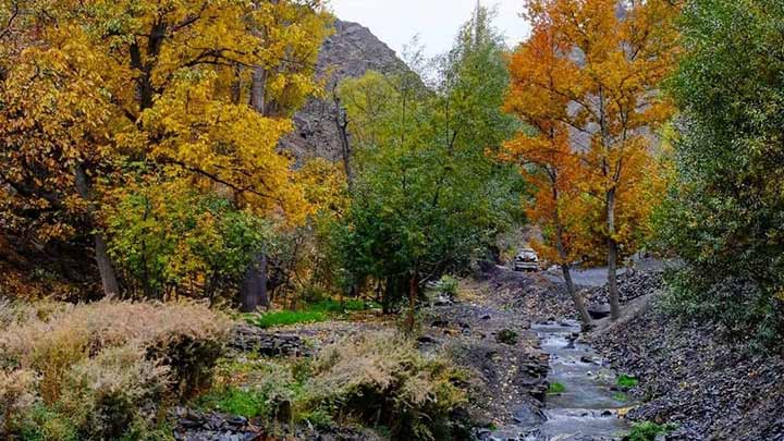 روستای دلیر را بشناسید روستای دلیر را بشناسید