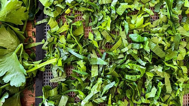 خشک کردن برگ کرفس در فر خشک کردن برگ کرفس در فر