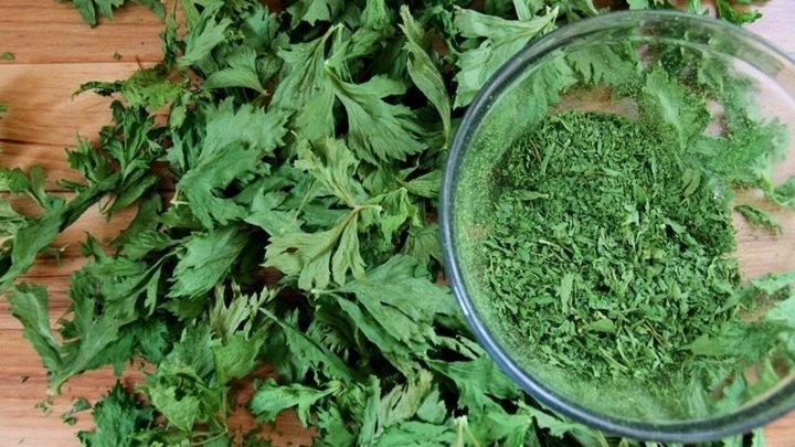 خشک کردن برگ کرفس در هوای آزاد