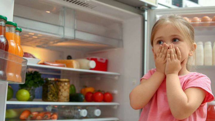 اقدامات لازم برای باز بودن در یخچال به مدت یک روز اقدامات لازم برای باز بودن در یخچال به مدت یک روز