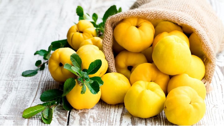راهنمای تشخیص میوه به خوب و مرغوب راهنمای تشخیص میوه به خوب و مرغوب