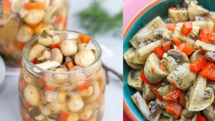 مواد لازم جهت تهیه ترشی قارچ و گل کلم مواد لازم جهت تهیه ترشی قارچ و گل کلم