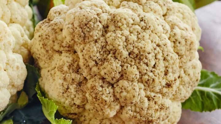 تشخیص گل کلم تازه از روی بوی آن تشخیص گل کلم تازه از روی بوی آن