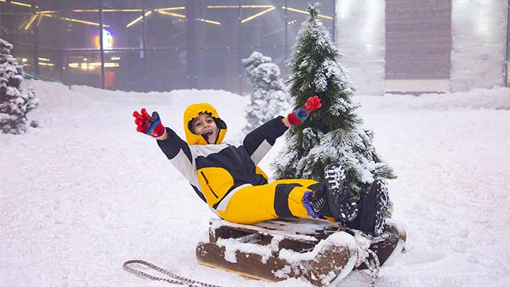 پارک برفی پنگوئن کیش پارک برفی پنگوئن کیش