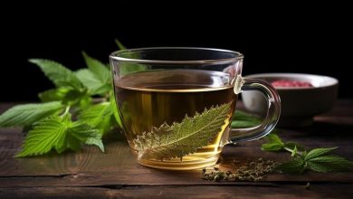 طرز تهیه دمنوش گزنه و زنجبیل + زمان مصرف