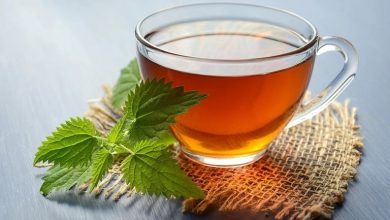 طرز تهیه دمنوش گزنه و عناب + بهترین زمان مصرف