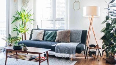 گیاهان مناسب اتاق پذیرایی کدامند؟