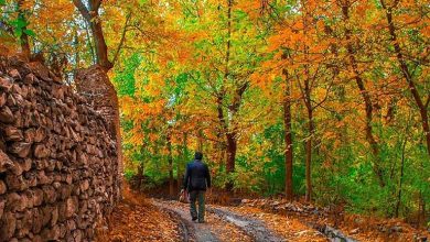 در مورد خوانسار پاییزی و جاهای دیدنی آن